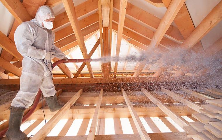 Maximize Energy Efficiency With Professional Spray Foam Insulation