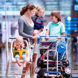 了解有关臭虫以及如何在旅行时避免它们的更多信息 家庭准备旅行