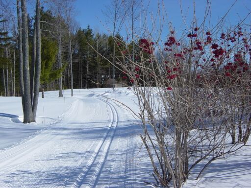 Eastman Cross Country Ski Trails Trail Finder