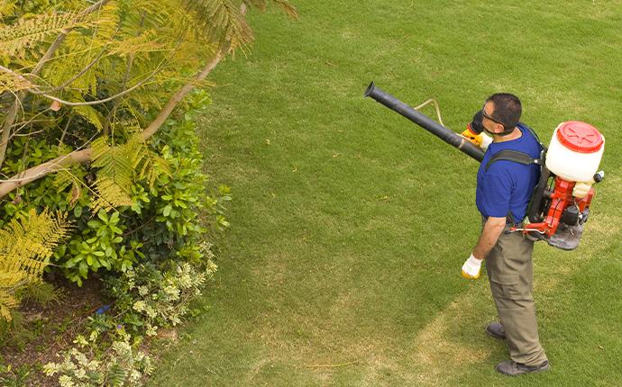 pest control technician treating a yard