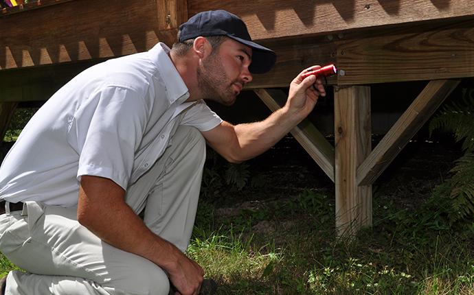 resolution pest technician performing an initial rodent inspection