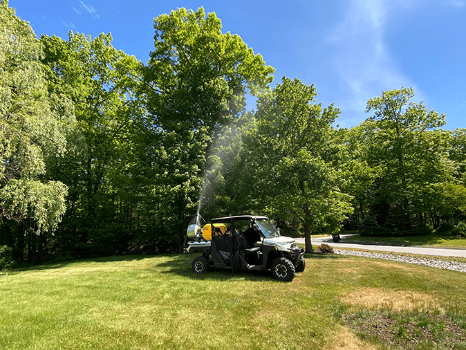 treating browntail moth with tree spray in auburn maine