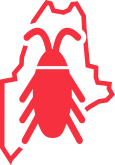 Maine Bed Bug Control Services | Professional Bed Bug Treatments In Maine