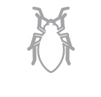 bed bug control icon