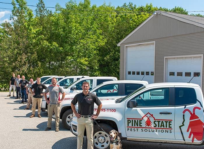the mosquito control experts at pine state pest solutions
