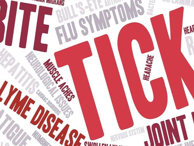Types Of Tick Related Illnesses That Are Common In Maine signs and symptoms of tick-borne diseases