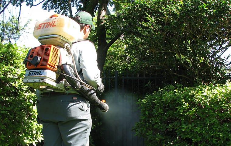 Learn More About Our Mosquito Control Options a technician is treating yard for mosquitoes in orange texs
