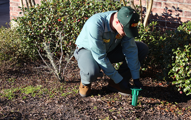 Call About Termite Control termite control around your home