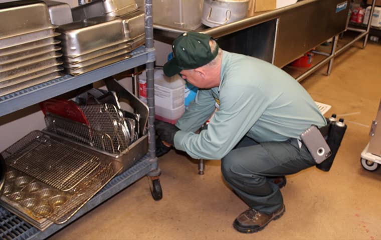 a bill clark bugsperts service technician inspecting a commercial kitchen in lumberton texas