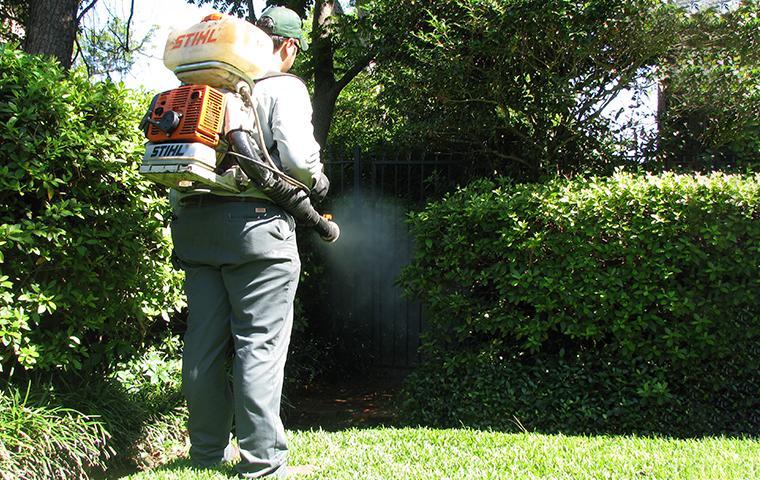 a technician spraying for mosquitos