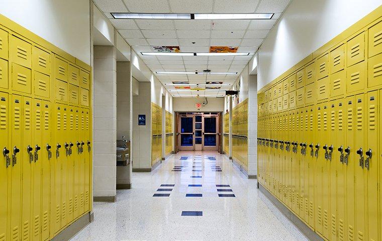 hallway in a school in pinewood estates texas