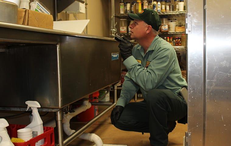 a pest control technician inspecting a commercial kitchen in port bolivar texas
