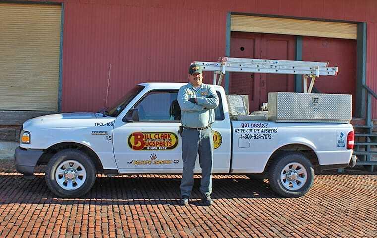 local pest expert