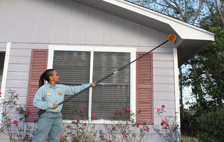 a technician dewebbing a home with black widow spiders in winnie texas