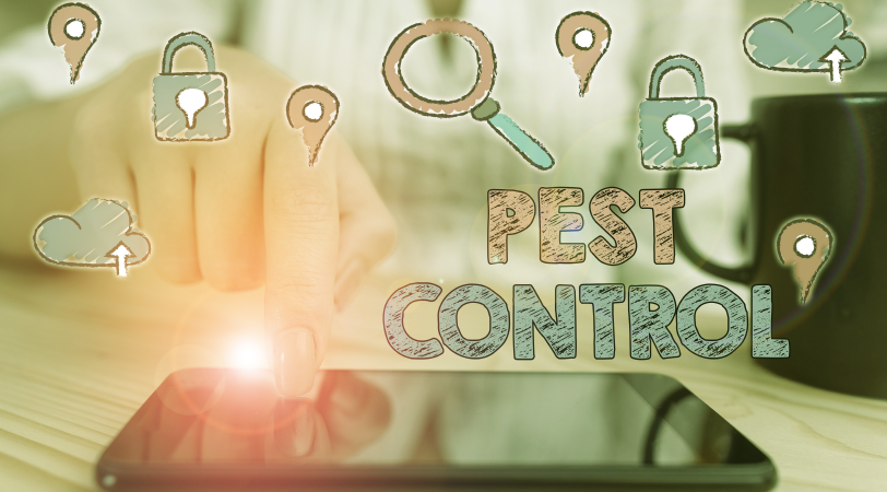 digital marketing pest control