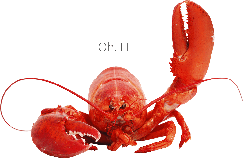 Sebastian Waves Hello lobster being friendly and waving