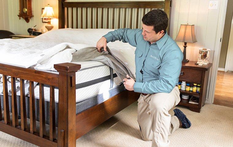 a pest control technician inspecting a mattress for bed bugs