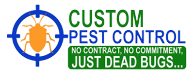 Pest Control Southend