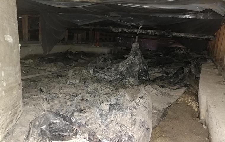 a crawlspace with mold in it