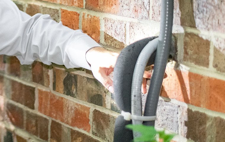a pest control service technician inspecting the exterior of a home for pests