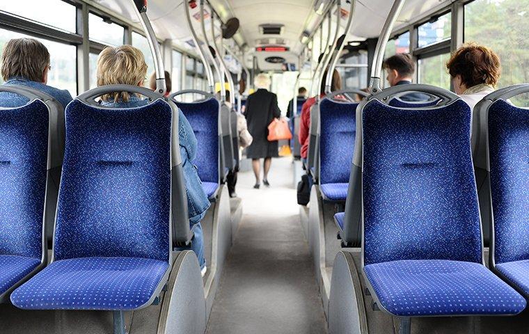 seats in a bus 