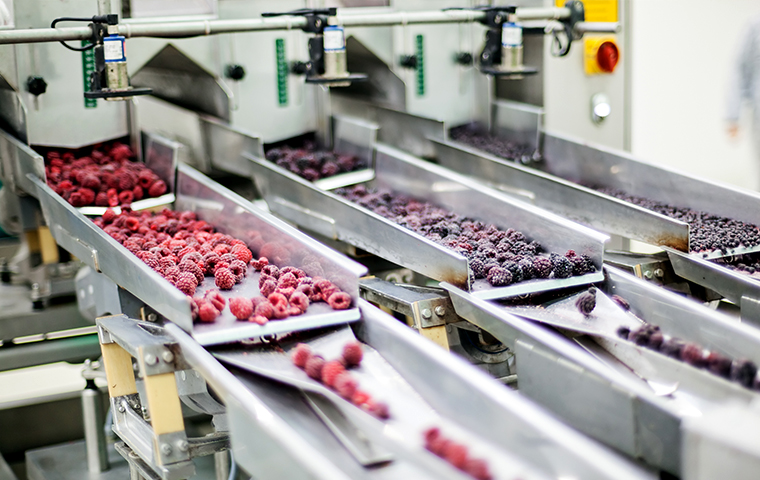 Pests Can Contaminate Your Food With Bacteria a food processing plant in andover kansas