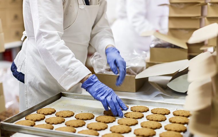 Pests Are A Contamination Risk In Processing Plants a food processing plant in topeka kansas