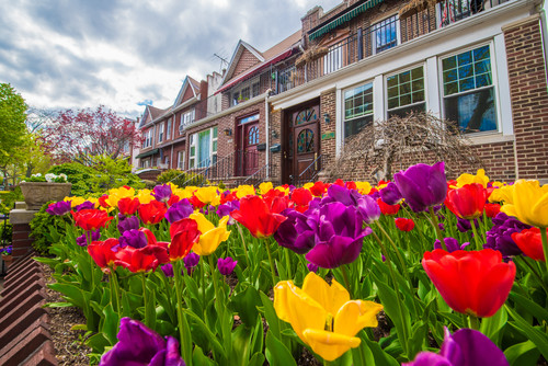 Windsor Terrace 