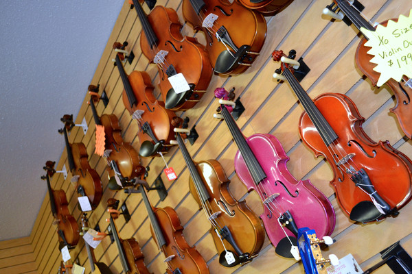 Great assortment of violins!
