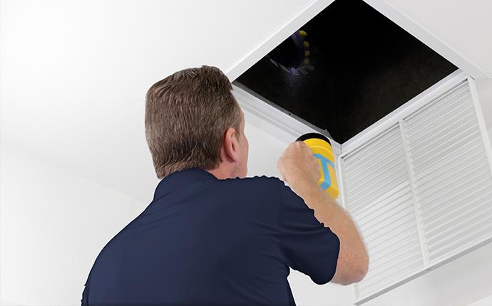 pest control technician inspecting vent