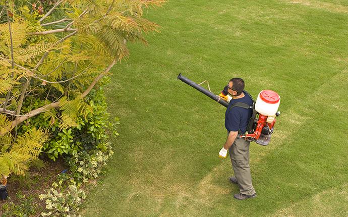 pest control technician treating for mosquitoes
