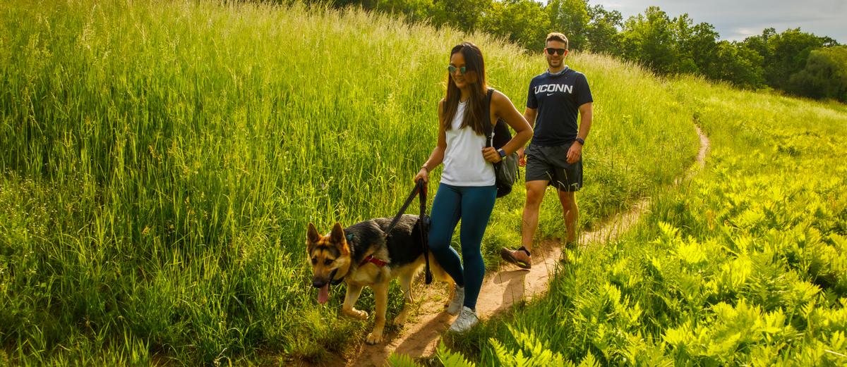 Two people and a dog walk on a grassy trail.