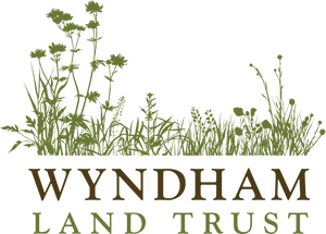 Wyndham Land Trust, Inc.