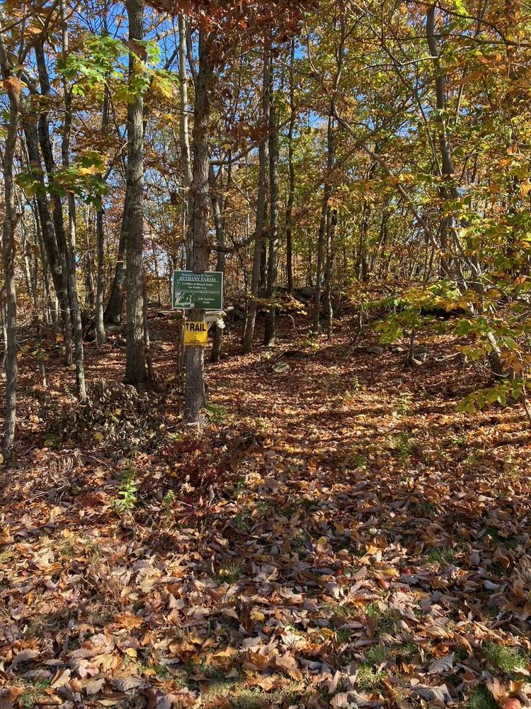 Bethany Farms Trails Connecticut Trail Finder