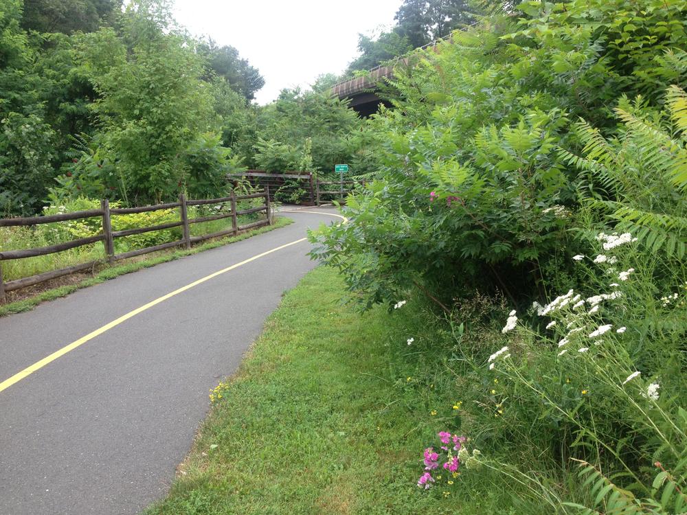 Charter Oak Greenway Connecticut Trail Finder