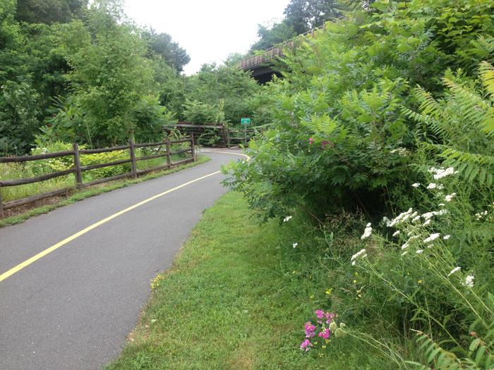 Charter Oak Greenway - Connecticut Trail Finder