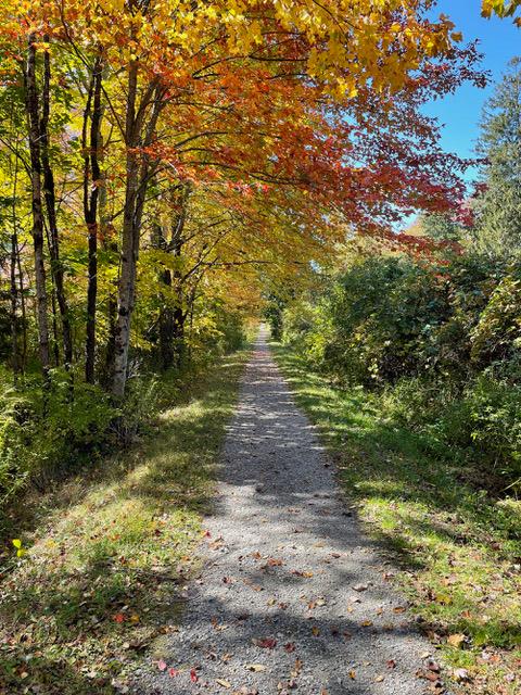 Fall colors (Credit: Litchfield Community Greenway)