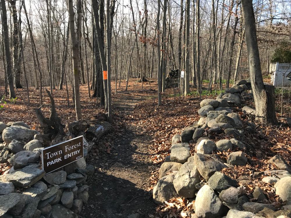 Town Forest Connecticut Trail Finder