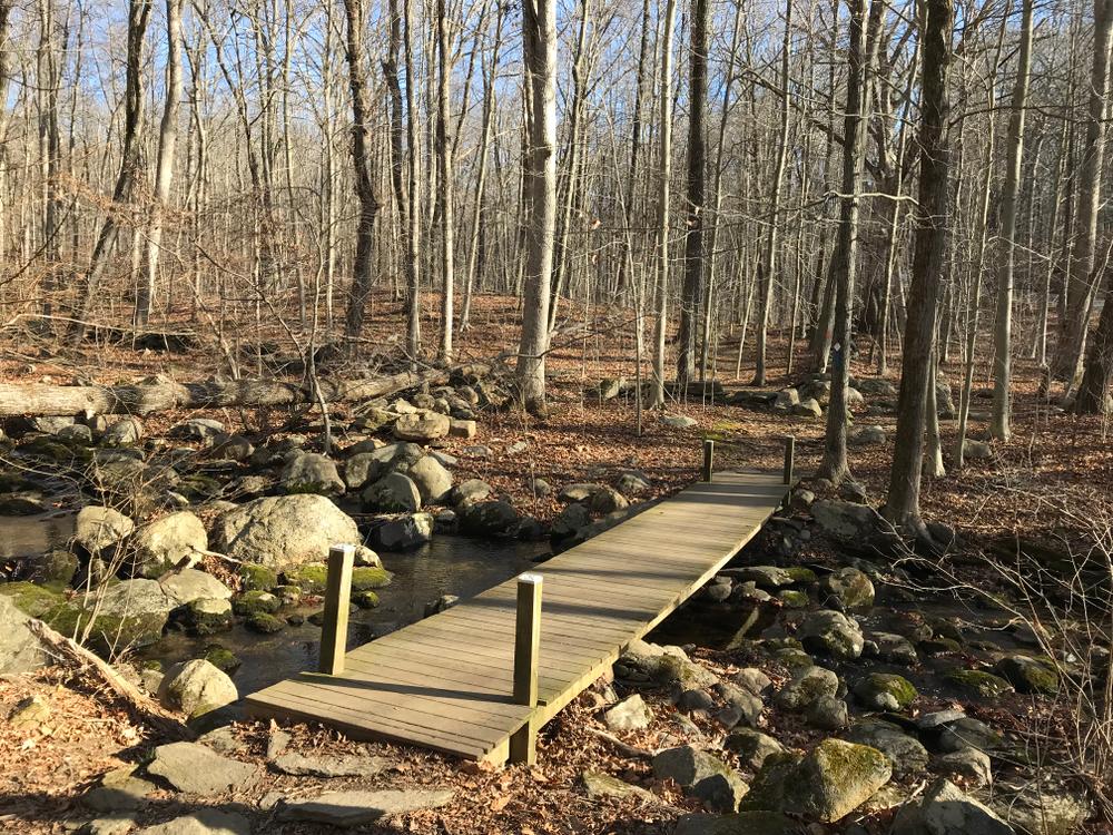 Town Forest Connecticut Trail Finder