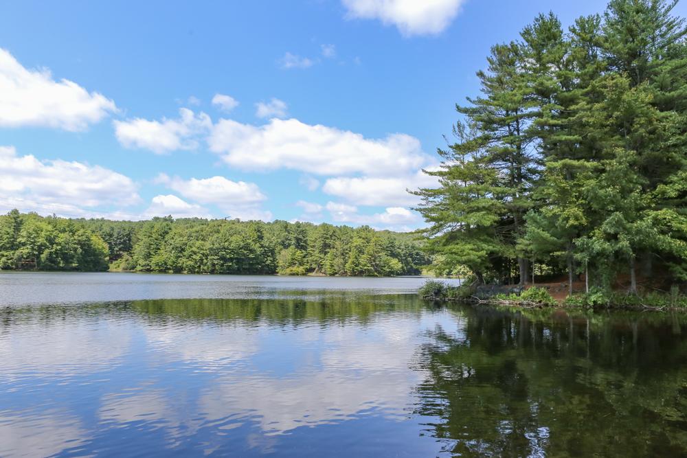 Maltby Lakes Connecticut Trail Finder