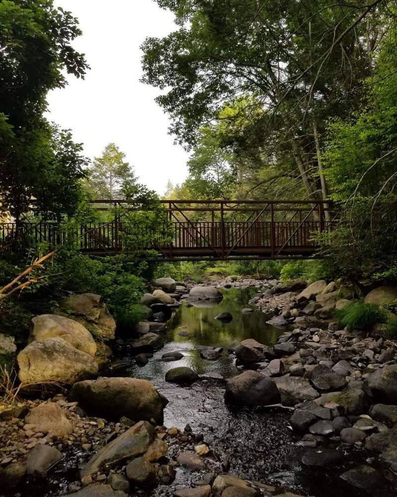 Escape To Tranquility: Your Guide To Mashamoquet Brook State Park