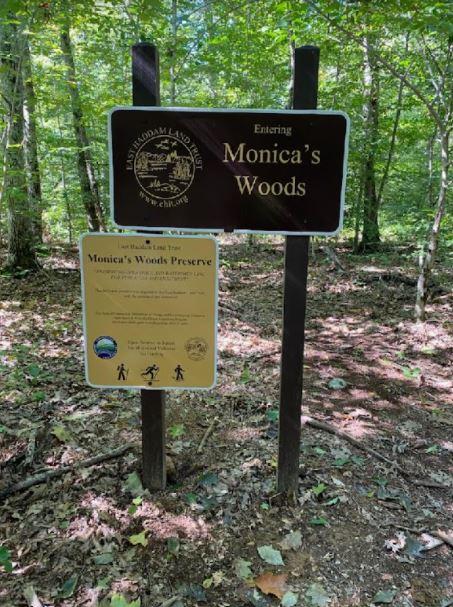 Bloch & Monica's Woods Preserve