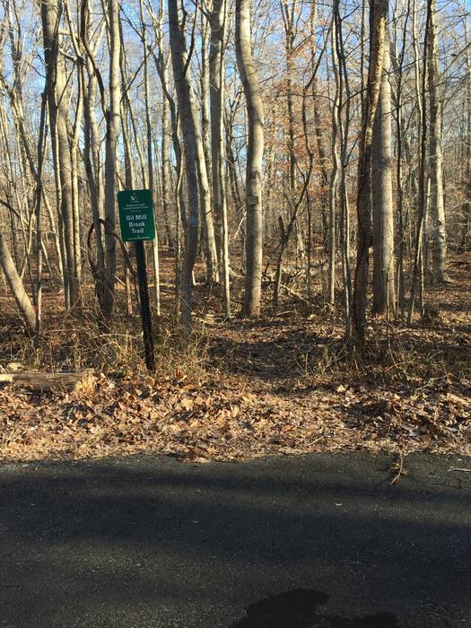 Oil Mill Brook Connecticut Trail Finder