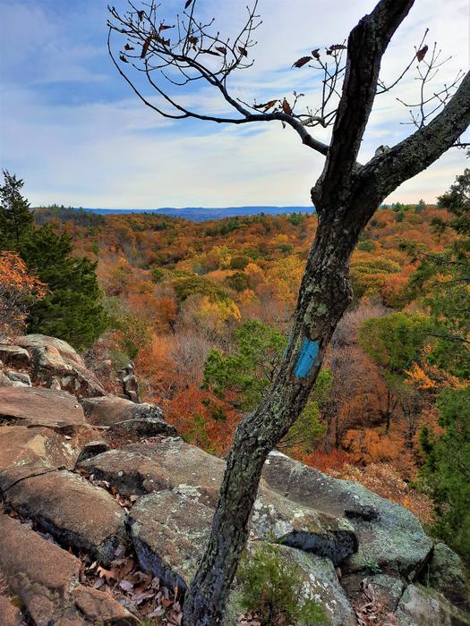 Quinnipiac Trail and Regicides Trail Connecticut Trail Finder