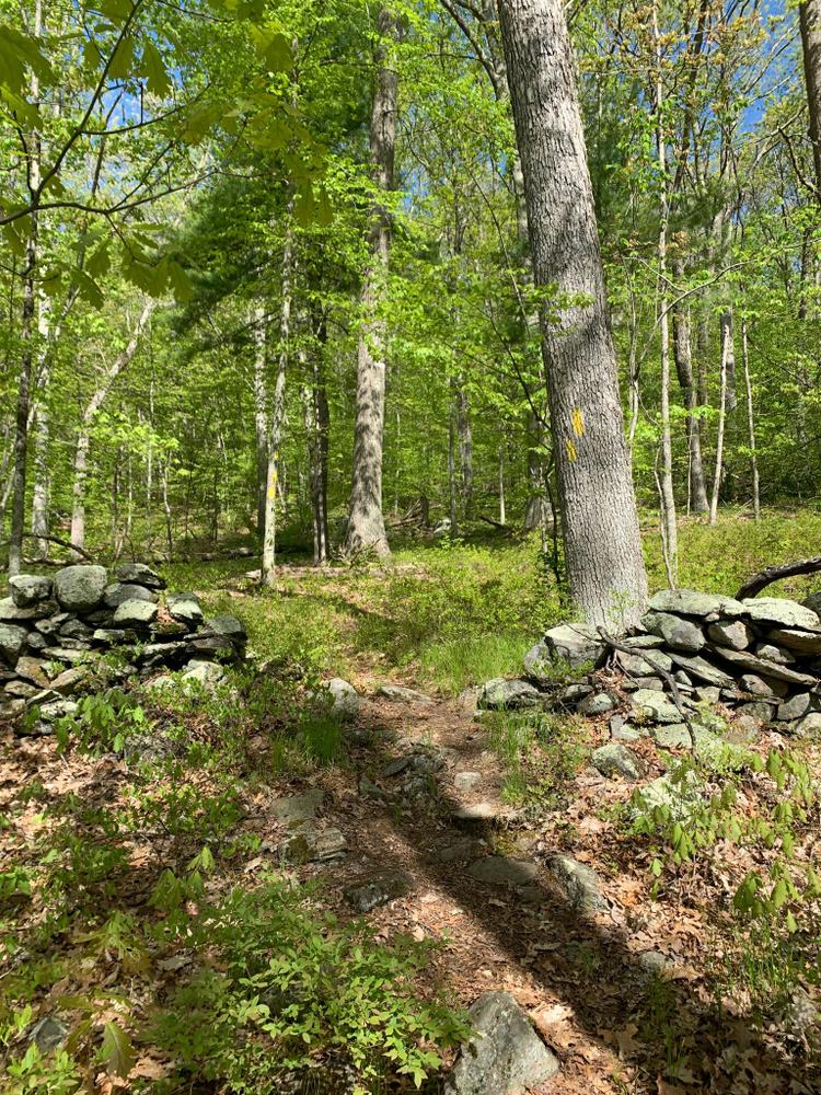 Rankin Preserve Connecticut Trail Finder
