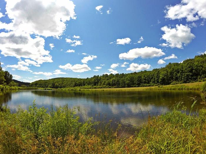 Sunnybrook State Park: Where Adventure Meets Tranquility