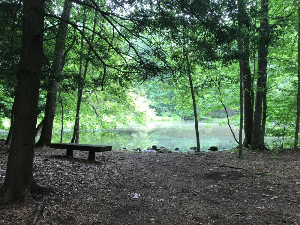 Cherry Lane Park Connecticut Trail Finder