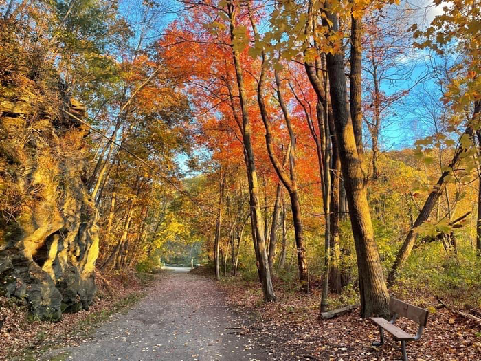 Escape To Serenity: Hop River State Park, Connecticut’s Hidden Gem