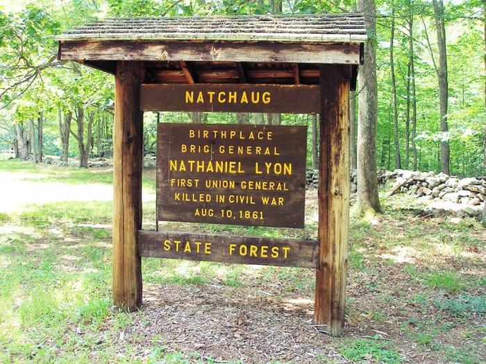 Natchaug State Forest