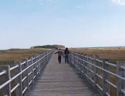 are dogs allowed at silver sands state park ct